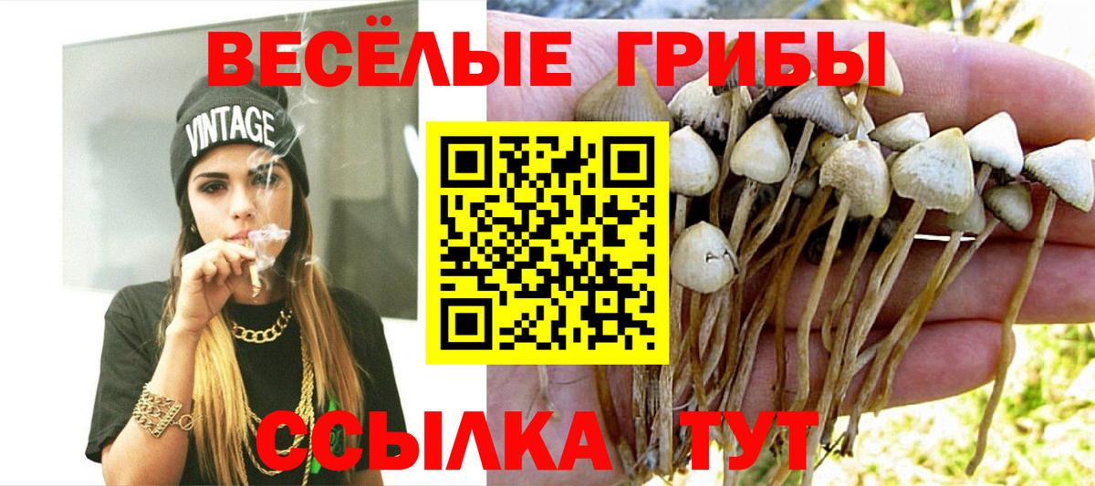 Сергиев Посад  Псилоцибиновые грибы Cubensis  как найти закладки  Вход с VPN 