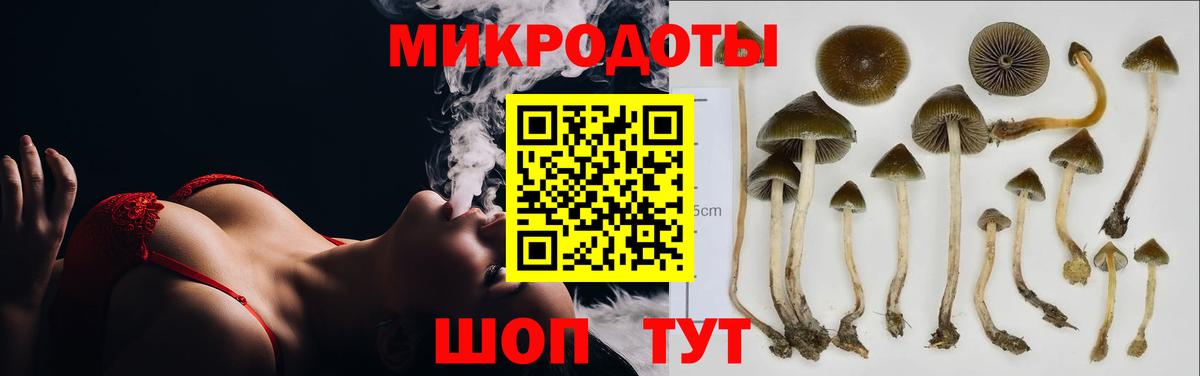 Псилоцибиновые грибы GOLDEN TEACHER Сергиев Посад
